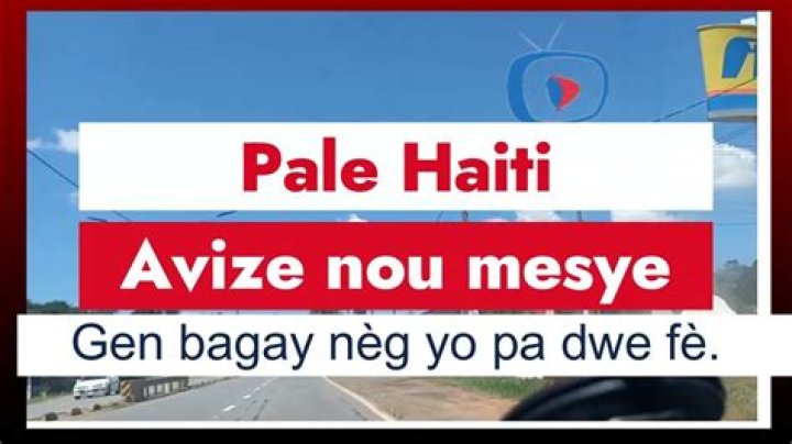 Pale Haiti video statistics